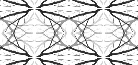 p5_01_maxi